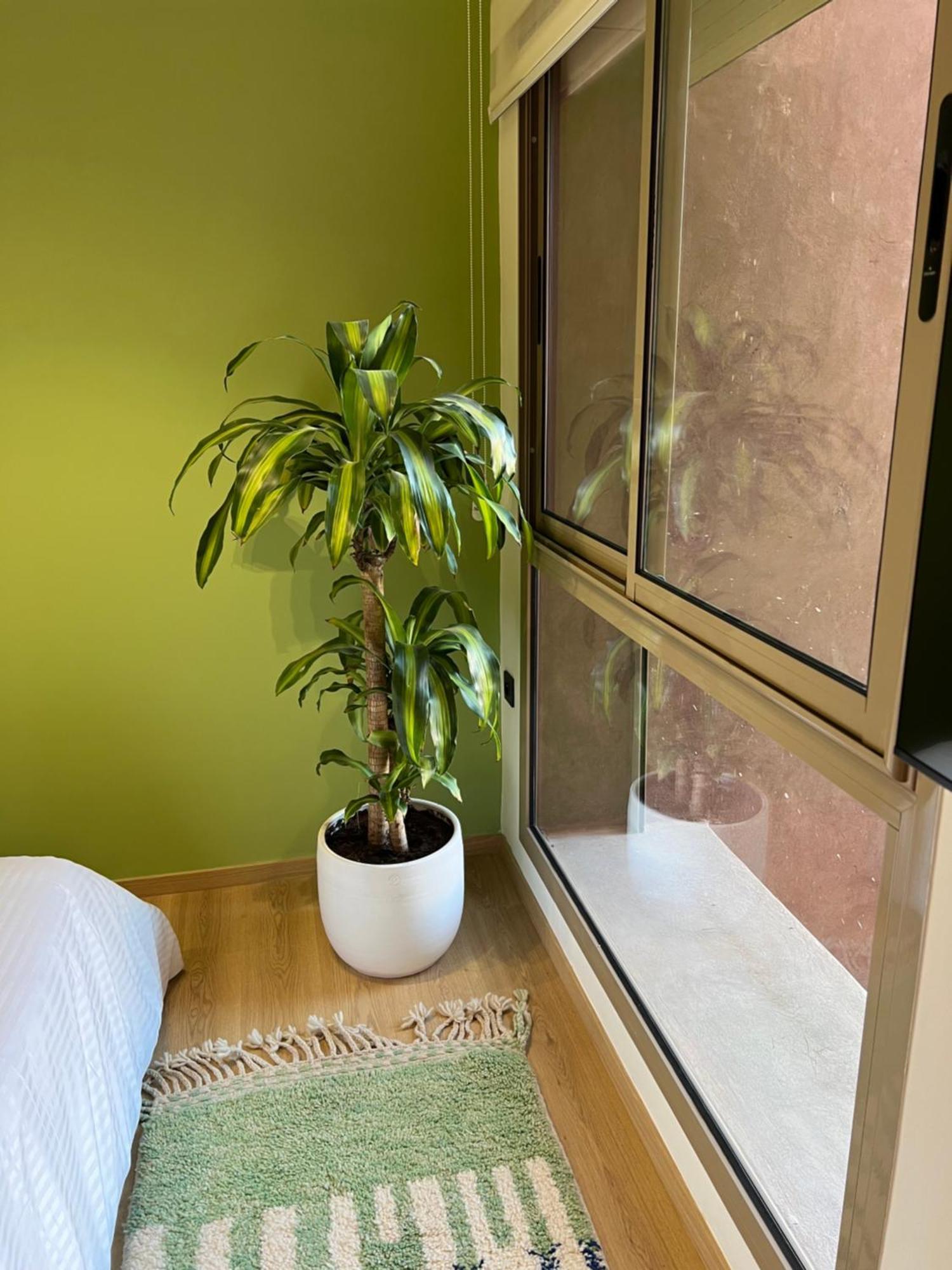 Luxe Appartement A Louer Pour Les Familles Marakeş Dış mekan fotoğraf